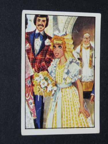 253 panini album - album, barbie