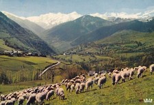 Carte postale postcard 10x15cm