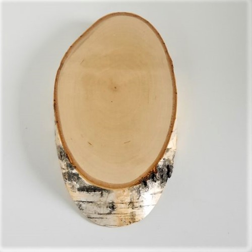Schild trophée bois - schild,