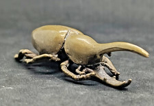 Coléoptère rhinocéros