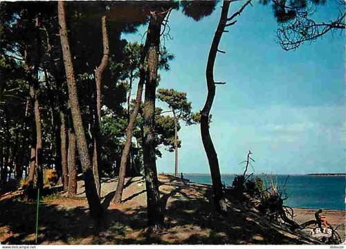 Carte postale ile - carte,