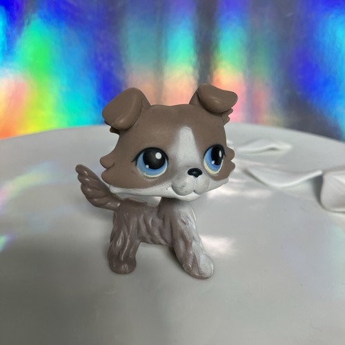 Figurine petshop colley - petshop,