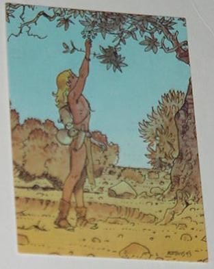 Gardens aedena trading card - of,