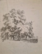 Ancien Beau Dessin XIX eme