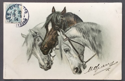 Carte postale ancienne chevaux - carte,