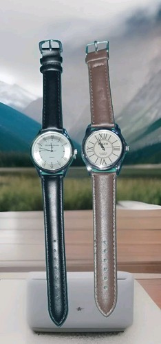 Montre eiger vuillemin - eiger, +