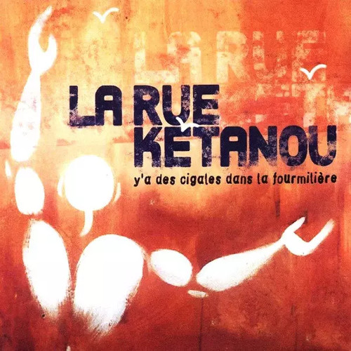 Des cigales dans la - des,