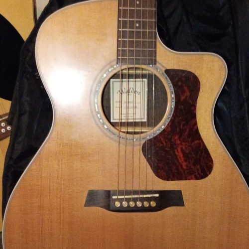 Walden string grand - 6-string,