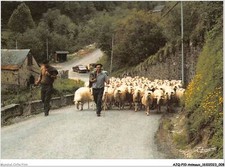 AJQP10-0938 - ANIMAUX -