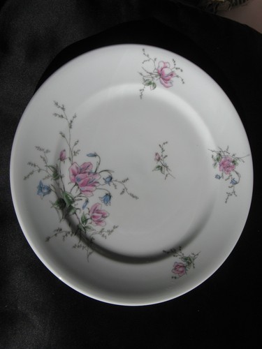 Assiette porcelaine limoges - assiette,