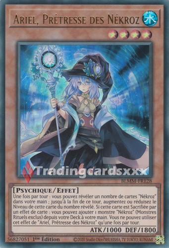 Ariel prêtresse - yu-gi-oh!,
