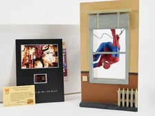 Attakus Spiderman a la fenetre C408 Bombyx