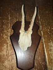 Massacre  trophée de