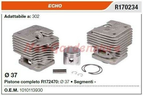 Cylindre piston segments echo - piston,