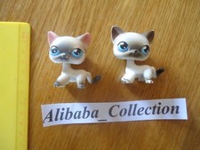 ** # LOT 2 chat cat europeen 05 05bis ? LPS LITTLEST PETSHOP PET SHOP HASBRO B