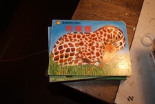 HISTOIRE  POUR ENFANT - EN