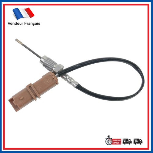 Sonde température - sonde,