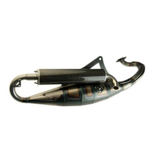 Pot silencieux carbone - r,