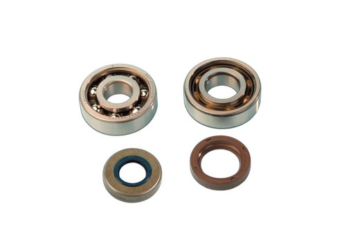 Kit roulements am6 ø17 20 - roulements,
