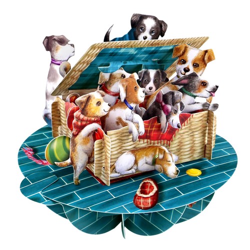 Pirouette carte voeux pop - carte,