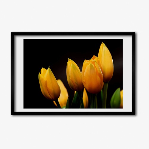 Tulup photo 60x40cm cadre - photo,