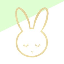 Miroir mural acrylique Miroir suspendu en bois en forme de lapin