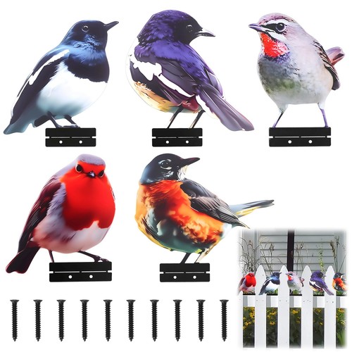 Lot oiseaux décoratifs - de,