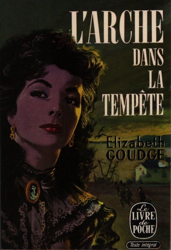 Arche dans tempête - l'arche,