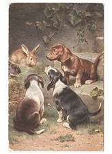 Ancienne Carte Postale Début 1900 Chiens Teckels Lièvres Lapins
