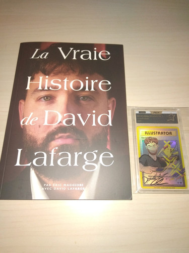 David lafarge ilustrator - , +