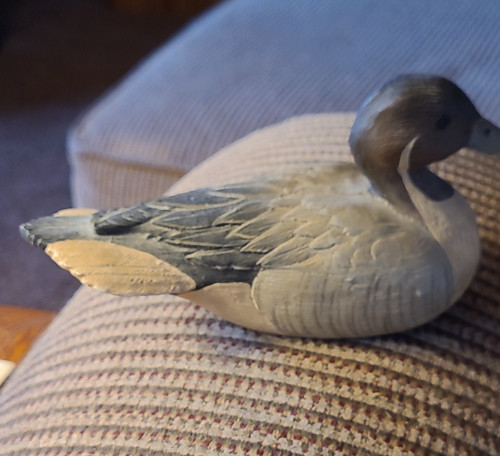 American wild fowl series - fowl,
