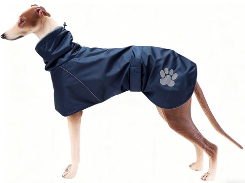 Chien manteau hiver - chien,