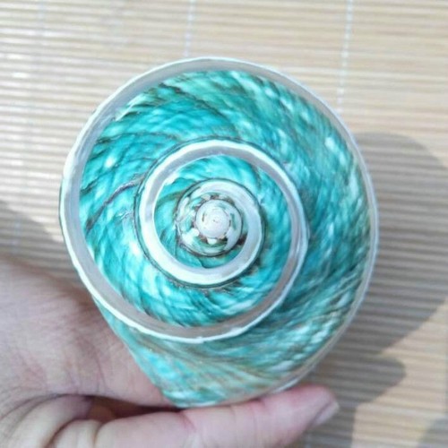 Vert naturel turban coquille - vert,