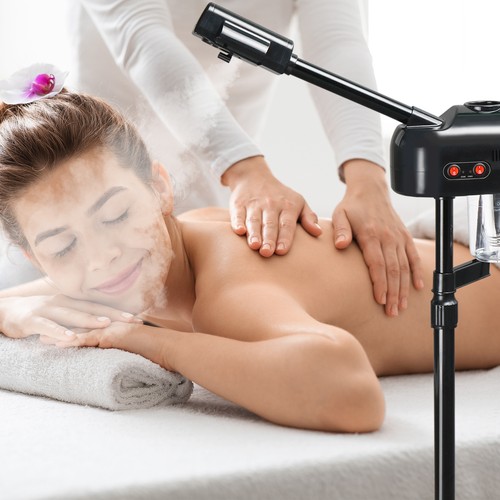 2in1 facial steamer wheels - 2in1, w/wheels