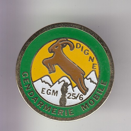 Rare pins pin gendarmerie - rare,