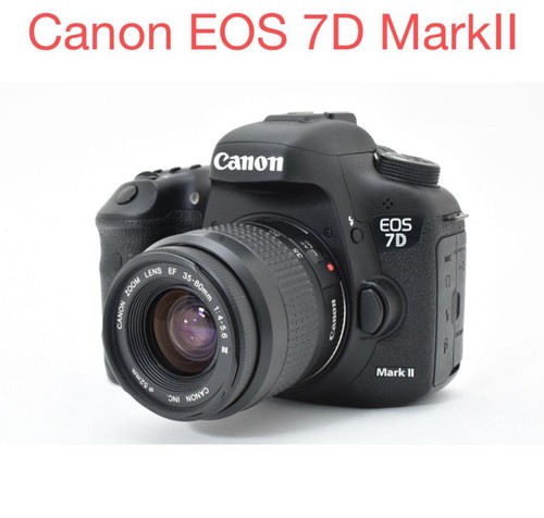 Appareil photo reflex