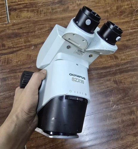 Olympus szx10 stereo - olympus,