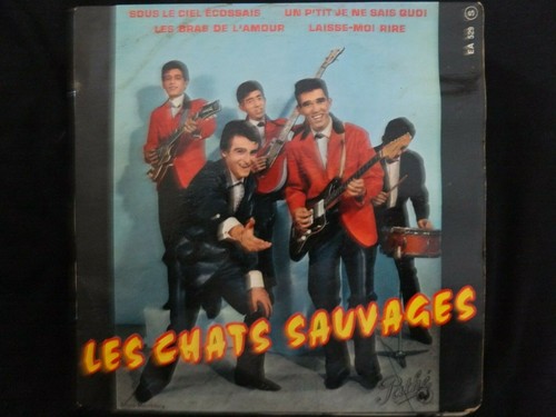 Vinyle tours les chats - vinyle,