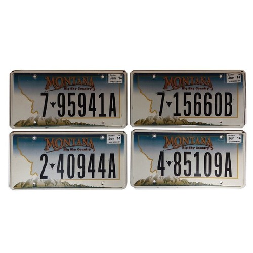 Montana plaque - montana, :