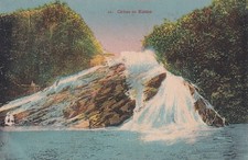 🦬 Carte Postale - Postcard