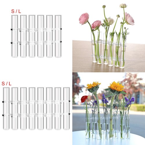 Terrarium vase fleurs - terrarium,