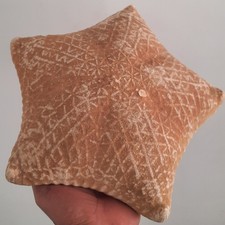 curiosité , taxidermie