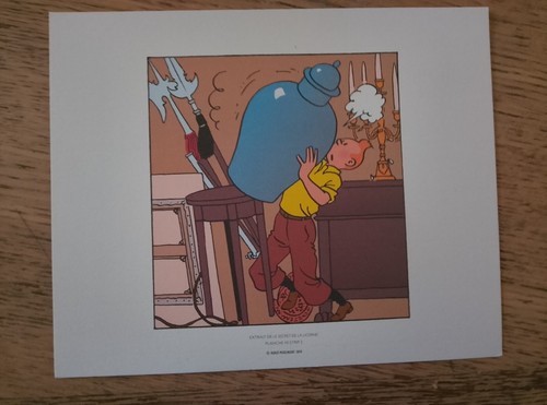 Planche tintin moulinsart - tintin,