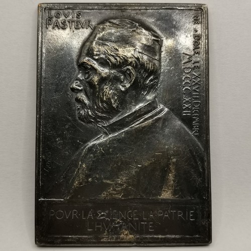 Plaque bronze argente 48mm - bronze, 66*48mm