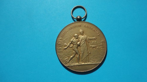 Superbe medaille argent - superbe,