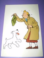 CARTE POSTALE TINTIN COSTUME TROUVANT CHAPEAU - HERGE MOULINSART 106