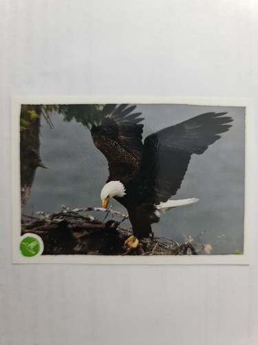 Image sticker autocollant