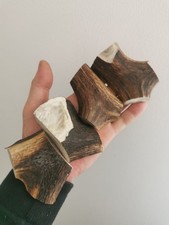 332. Balances en corne de cerf