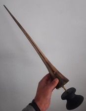 curiosité , taxidermie