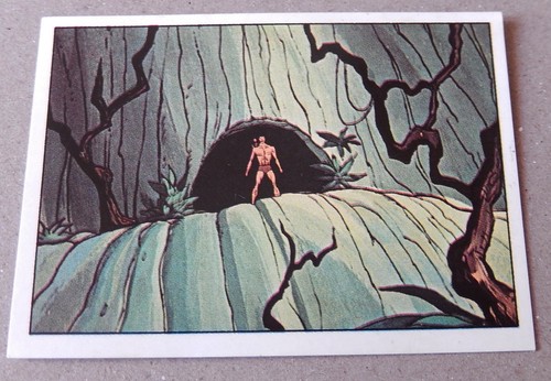 Figurine panini tarzan - figurine,